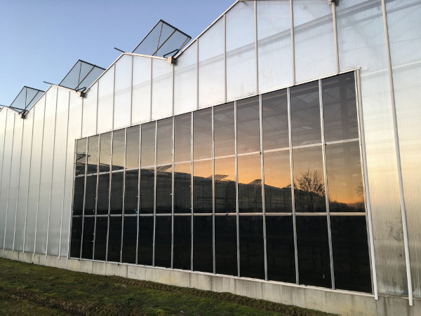 Solar PV Greenhouses